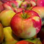 Warum regelmäßige arztbesuche wichtig sind