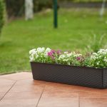 Blumentopf groß online kaufen: So finden Sie die perfekte Größe für Garten, Terrasse und Balkon